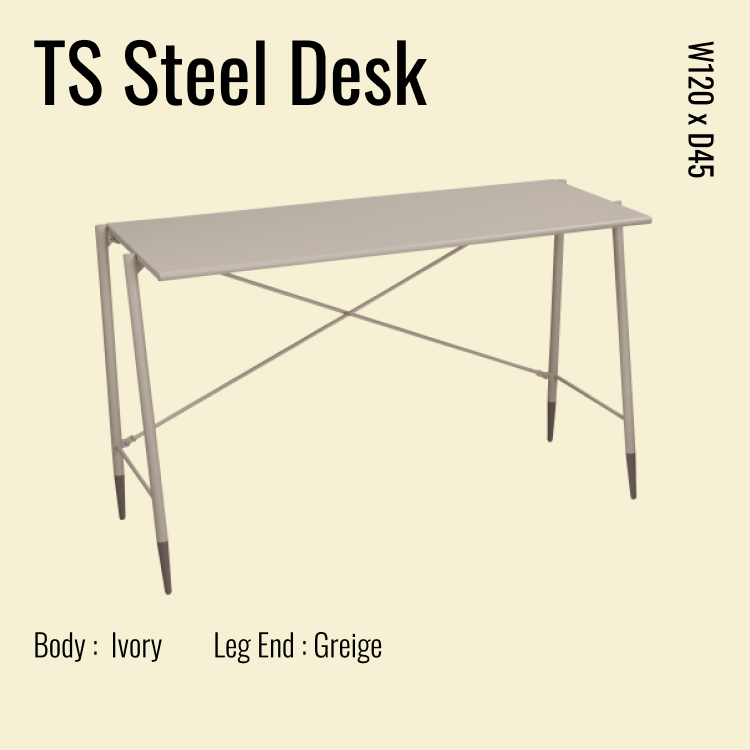 TS Steel Desk